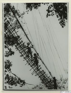 ["fotografi, photograph"]