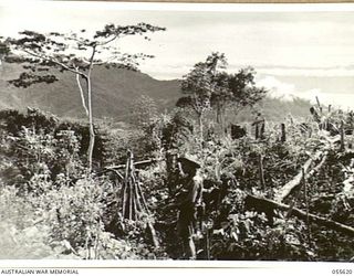 SALAMAUA, NEW GUINEA, 1943-08-09. THIS FORMS A PANORAMIC VIEW WITH TYPICAL MOUNTAINOUS TERRAIN. CORPORAL W. W. BROWN IS IN THE FOREGROUND. JOINS UP WITH ACCESSION NUMBER 055619