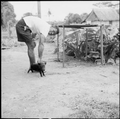 A fijian with a baby pig and a grass hut in the background, Fiji, 1966 / Michael Terry