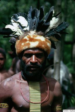 ["porträtt, fotografi, photograph"]