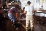 Hilo, workers at fish auction