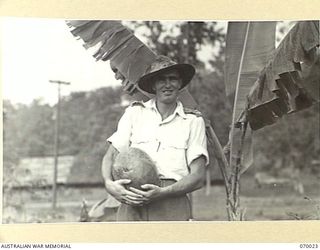 PORT MORESBY, NEW GUINEA, 1944-01-23. THE OFFICER COMMANDING MILITARY HISTORY SECTION, ATTACHED TO HEADQUARTERS, NEW GUINEA FORCE, VX117252 CAPTAIN G.H. NICHOLSON HOLDING A WATER MELON GROWN ..