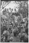 Bride price for Mitsi: payment banner of feather and shell valuables given by the groom's group to the bride's group