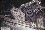 Canoes: carved and painted prow and splashboard of kula canoe, white cowrie shells attached to splashboard