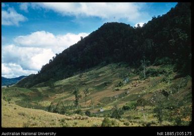 Gardens below Limestone Ridge