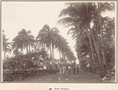 Villagers at Mangaia, Cook Islands, 1903