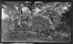 Rock on landscape, possible shrine