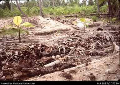 Soil preparation, Vaitupu