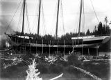 Four-masted schooner DEFIANCE ready for launch, Hoquiam, 1897