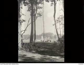 TSILI TSILI, PAPUA NEW GUINEA. 1943-11-18. VIEW OF A VULTEE VENGEANCE DIVE BOMBER AIRCRAFT OF NO. 24 SQUADRON RAAF SEEN THROUGH THE JUNGLE TREES WITH VINES HANGING DOWN