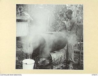 ORO BAY, NEW GUINEA. 1943-07. AN IMPROVISED HOT WATER SYSTEM OPERATING OUTSIDE THE WARDS OF THE MAIN DRESSING STATION AT THE 10TH FIELD AMBULANCE, AUSTRALIAN ARMY MEDICAL CORPS