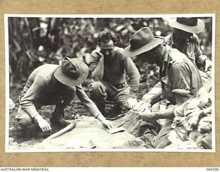 MOUNT PROTHERO AREA, NEW GUINEA. 1944-01-19/20. SORTING THE MAIL FOR THE 2/12TH AUSTRALIAN INFANTRY BATTALION BEFORE THE UNIT GOES INTO BATTLE