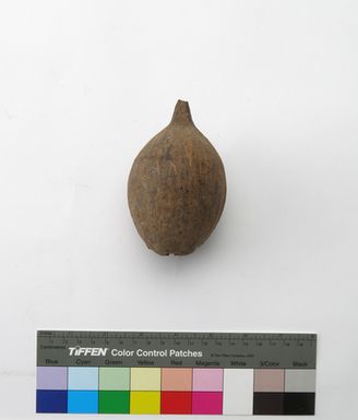 coconut [DUPLICATE RECORD]