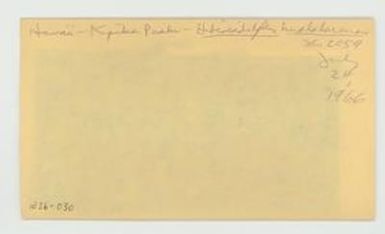 [Hibiscadelphus hualalaiensis in Hawaii, envelope IE26-030]