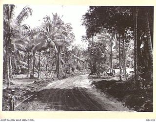 MALMAL VILLAGE, JACQUINOT BAY. NEW BRITAIN. 1944-12-09. THE ALMOST COMPLETED ROAD (LOOKING NORTHEAST), WHICH LEADS PAST HEADQUARTER 5 DIVISION