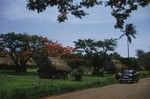 Fale village, believed to be in Fiji, taken by Alan C. Jones during a break from the Capricorn Expedition (1952-1953). 1953