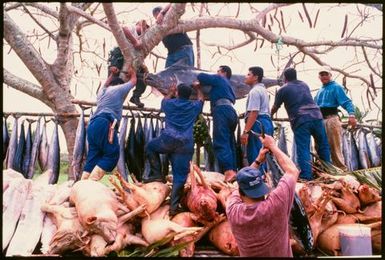 Food preparation for ear piercing ceremony, Lakepa, Niue