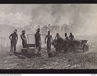 NADZAB AREA, NEW GUINEA. 1943-09-20. MEN OF THE 11TH BATTERY, 2/4TH AUSTRALIAN LIGHT ANIT-AIRCRAFT REGIMENT SALVAGING AMMUNITION FROM BURNING KUNAI GRASS, AFTER A JAPANESE AIR RAID. LEFT TO RIGHT: ..