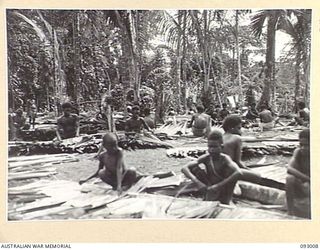 MOROKAIMORO, BOUGAINVILLE, 1945-06-05. NATIVES AT WORK SEWING SAC SAC DURING THE CONSTRUCTION OF A HOUSE AT THE ANGAU COMPOUND. FROM THIS POINT A NATIVE CARRIER LINE OPERATES TO 2/8 COMMANDO ..