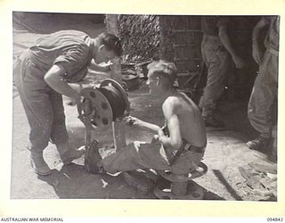 ILIPEM, NEW GUINEA, 1945-07-31. CORPORAL H.W. DAVIES (1), AND SIGNALMAN R.J. THOMSON (2), 2/5 INFANTRY BATTALION, RE-WINDING SIGNAL WIRE ON TO THE SMALL BATTLE REELS TO BE READY TO RUN OUT TO ..