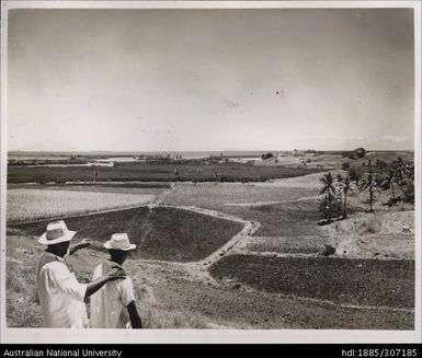 Farmers looking out over fields