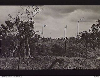 PORT MORESBY AREA, NEW GUINEA.  A SCENE TAKEN FROM THE MARSHALLING PARK LOOKING TOWARDS JACKSON'S AIRFIELD (OVER THE RIDGE IN THE BACKGROUND) WHERE, ON 1943-09-07, A LIBERATOR BOMBER CRASHED INTO ..