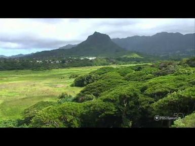 PBS Hawaii - HIKI NŌ Episode 205 | Le Jardin Academy | Kawainui Marsh