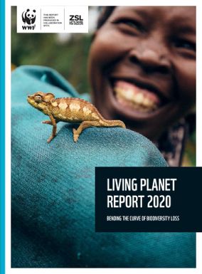 Living Planet report 2020 : Bending the curve of Biodiversity of Loss