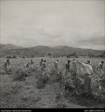 Instructing Fijian farmers