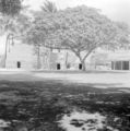 United States, Ulu Mau village site in Honolulu