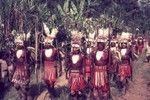 Decorated men from Koiari village, wearing headdresses, body and face paint, baler shell ornaments, and other finery