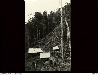 Jap Ladder Camp, New Guinea. 1944-04-03. Looking north along the Kokoda Trail with the camp under the control of 23rd Line Section, 18th Australian Lines of Communication Area Signals. Jap Ladder ..