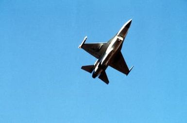 A bottom view of an F-16 Fighting Falcon aircraft carrying an AIM-9 Sidewinder missile during exercise COPE ELITE '81. The Falcon is from the 428th Tactical Fighter Squadron, 474th Tactical Fighter Wing
