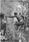 Pig festival, uprooting cordyline ritual, Tsembaga: man leaps on heated stones. he will pierce red pandanus fruits with cassowary bone