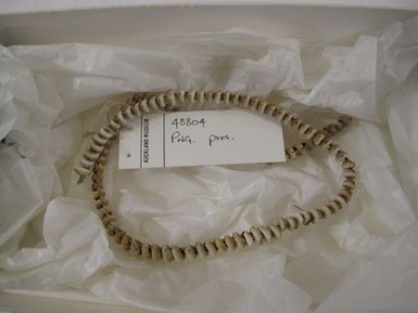 String of cowrie shells