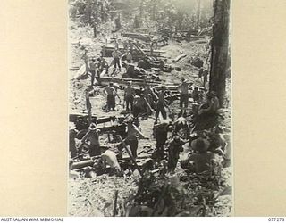 DOYABIE AREA, BOUGAINVILLE ISLAND. 1944-11-25. GUNNERS OF NO. 12 BATTERY, 4TH FIELD REGIMENT DIGGING GUN PITS FOR THEIR SHORT 25 POUNDERS IN THEIR NEW POSITIONS COVERING THE 9TH INFANTRY BATTALION ..