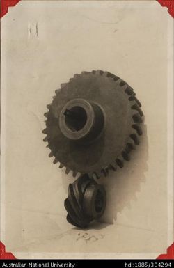 Intermittent drive gear for pineapple peeling and coring machine