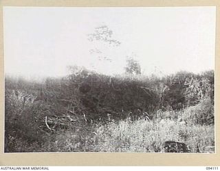 POPONDETTA, NEW GUINEA, 1945-07-02. THE SITE OF A FORMER JAPANESE HQ. THE DARK PATCH SHOWS THE ENTRANCE TO A TUNNEL AND UNDERGROUND ROOMS. THE EXCAVATION WAS COVERED WITH SHEETS OF IRON AND STEEL