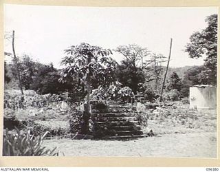 RABAUL, NEW BRITAIN, 1945-09-10. ONE OF THE MANY GARDENS IN RABAUL. GARDENS WERE PLANTED EVERYWHERE, EVEN WHERE HOUSES ONCE WERE. FOLLOWING THE SURRENDER OF THE JAPANESE THE AREA IS NOW OCCUPIED BY ..