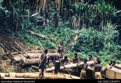 Aiyura - Markham Vally - Gadsup men, 4 miles after Aiyura