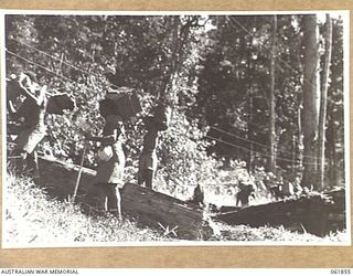 UBERI, NEW GUINEA. 1943-12-19. NATIVE CARRIERS, TAKING SUPPLIES TO THE "FRONT LINE" ON THE KOKODA TRAIL IN THE OWEN STANLEY RANGES DURING THE FILMING OF SEQUENCES FOR THE PRODUCTION, "RATS OF ..