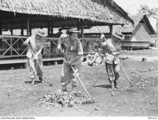 LAE, NEW GUINEA. 1945-05-08. ALL RANKS SHORTLY AFTER ARRIVAL AT THE NEWLY CONSTRUCTED AUSTRALIAN WOMEN'S ARMY SERVICE BARRACKS IN BUTIBUM ROAD WERE ALLOTTED TO FATIGUE PARTIES. THIS PARTY RAKES ..