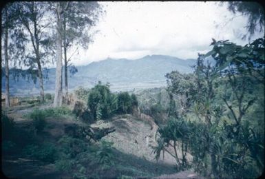 Singsing villages, a high fence in the foreground : Wahgi Valley, Papua New Guinea, 1954 and 1955 / Terence and Margaret Spencer