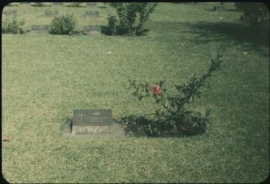 The war cemetery at Bitapaka (6) : Rabaul, New Britain, Papua New Guinea, 1960-1961 / Terence and Margaret Spencer