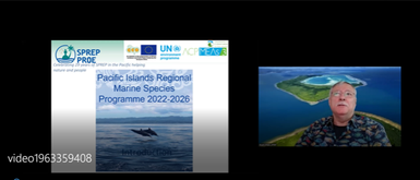 Launch of the Pacific Islands Regional Marine Species Programme (RMSAP) 2022-2026