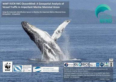 Using the automatic identification system to monitor the important marine mammals areas : a geospatial analysis of vessel traffic in important marine mammal areas.