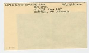 [Acridocarpus neocaledonicus in New Caledonia, envelope IE41-151]
