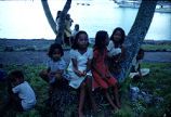 Native women and children seated beneath a tree, Likiep Atoll, August 20, 1949