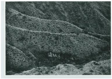 Topographical map Mt. Balbi area - Bougainville (photo 11)