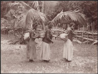 Three women carrying baskets of yams, Torres Islands, 1906 / J.W. Beattie